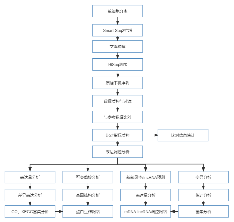 29、单细胞转录组测序.png