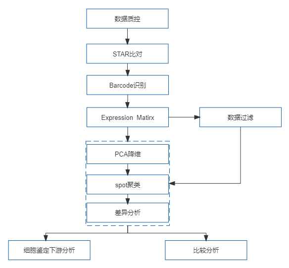 32、10x Visium 空间转录组测序.png