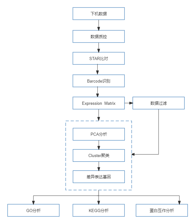 37、10x Genomics单细胞蛋白质组测序.png