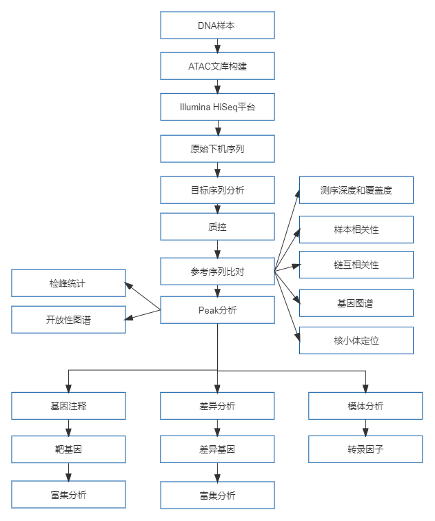 23、ATAC-seq.png