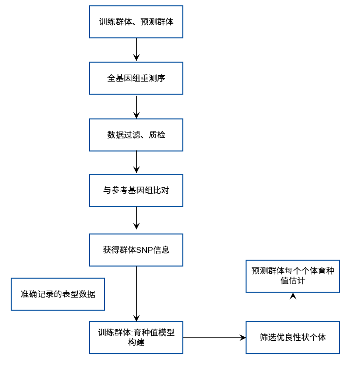 全基因组选择育种.png