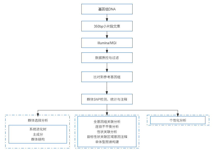 全基因组关联分析.png