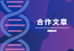 登顶Nature|产量+抗性，鱼和熊掌也可兼得